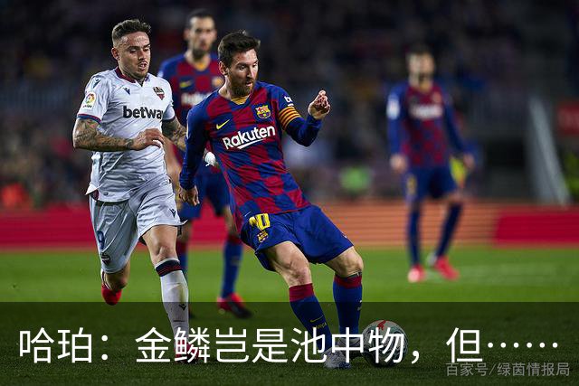 哈珀：金鳞岂是池中物，但……