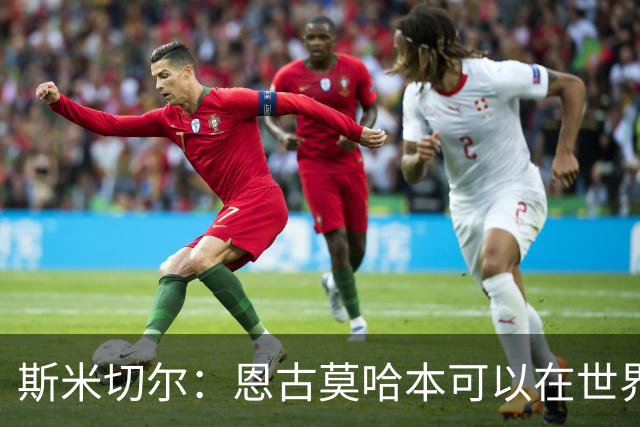 斯米切尔：恩古莫哈本可以在世界杯改变局势，但他能参加下一届