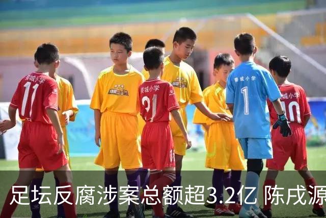 足坛反腐涉案总额超3.2亿 陈戌源李铁2人达2亿